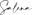 SALENA logo